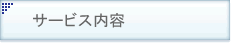 �T�[�r�X���e